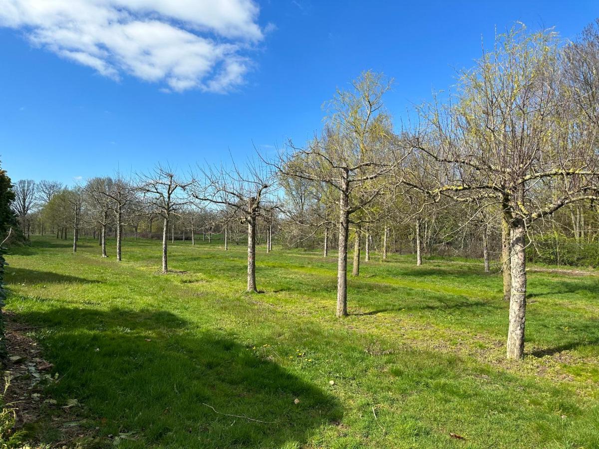 Stijlvol Huisje In De Brabantse Natuur! Tuynloodz B Beers  Exterior photo
